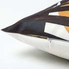 Набор декоративных наволочек Этель Morning 45×45 см - 2 шт., полиэстер, велюр - Фото 5