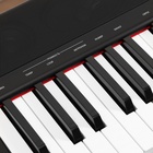 Электронное пианино DENN PRO PW01, 8 тембров, полифония 48 нот, 88 клавиш - Фото 4