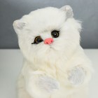 Пушистик кот Пузатик 20*13*9 см - Фото 5