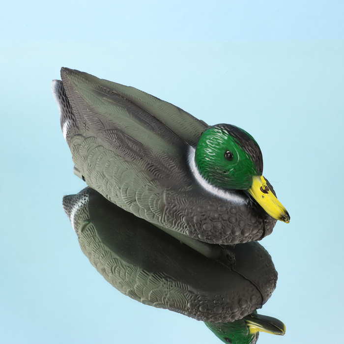 Водоплавающая фигура «Селезень», 25×11×10 см, пластик - Фото 1