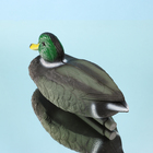 Водоплавающая фигура «Селезень», 25×11×10 см, пластик - Фото 2