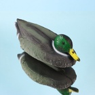 Водоплавающая - подсадная фигура "Селезень" 25х11х10см - фото 809397358