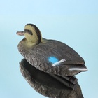 Водоплавающая фигура «Утка», 27×11×10 см - Фото 10