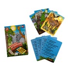 Игра настольная «Викторина на внимание. Животные», 4+ - фото 23784890