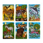 Игра настольная «Викторина на внимание. Животные», 4+ - фото 23784892