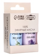 Набор эфирных масел 2 шт. «Лаванда, Эвкалипт» по 15 мл - Фото 5