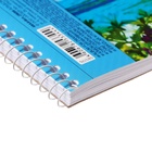 Альбом для рисования Hatber «Очарование природы» А4, 48 листов, на гребне, плотность листов 100 г/м², обложка из мелованного картона, тиснение, МИК�... - Фото 10