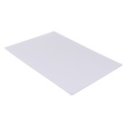 Папка для рисования А4, 20 листов 120 г/м² Hatber "Тигрёнок", тиснение - фото 9521370