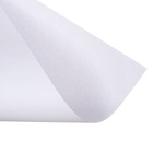 Папка для рисования А4, 10 листов 100 г/м² Hatber "Котоселфи", тиснение - фото 9521410