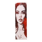 Ширма интерьерная (панель доборная) "Роковые девушки №2", 50 х 160 см (петли в комплекте) - Фото 2