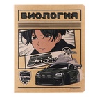 Комплект предметных тетрадей, 48 листов 12 предметов "Аниме", обложка картон, тиснение фольгой, блок офсет - фото 23872961