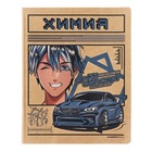 Комплект предметных тетрадей, 48 листов 12 предметов "Аниме", обложка картон, тиснение фольгой, блок офсет - фото 23872951