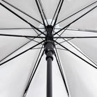 УЦЕНКА Зонт - трость полуавтоматический «Gordon», эпонж, 10 спиц, R = 50 см, цвет МИКС - Фото 6