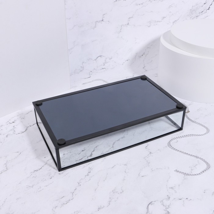 Органайзер для хранения «Square», 1 секция, стеклянный, 24 × 14 × 5 см, цвет прозрачный/чёрный