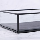 Органайзер для хранения «Square», 1 секция, стеклянный, 24 × 14 × 5 см, цвет прозрачный/чёрный - Фото 5