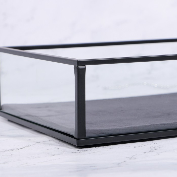 Органайзер для хранения «Square», 1 секция, стеклянный, 24 × 14 × 5 см, цвет прозрачный/чёрный