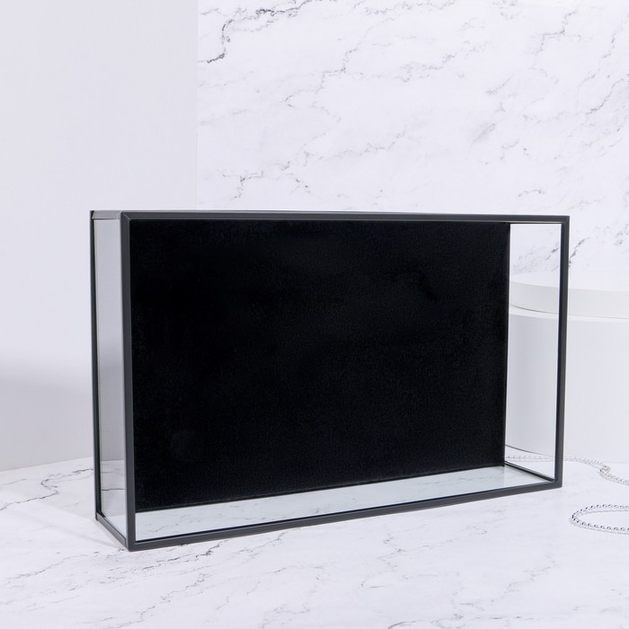 Органайзер для хранения «Square», 1 секция, стеклянный, 29 × 17,5 × 6,5 см, цвет прозрачный/чёрный