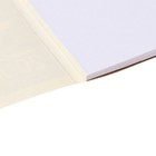 Альбом для рисования, А4 20 листов, на клею "Девочка с котенком", обложка мелованный картон, выб УФ-лак, блок офсет 100г/м2 - фото 23873017