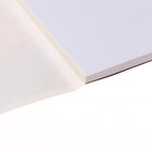 Альбом для рисования, А4 40 листов на клею "Ночной кот", обложка мелованный картон, ВД лак, блок 100г/м2 (комплект 2 шт) - фото 24553600