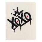 Тетрадь 48 листов в клетку "Граффити", обложка мелованный картон, выборочный УФ-лак, блок 60 г/м2, МИКС - фото 24665106