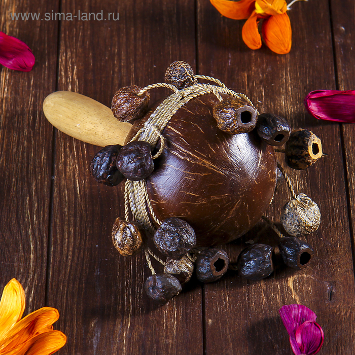 Сувенирный музыкальный инструмент «Маракас» 24×16×16 см - Фото 1