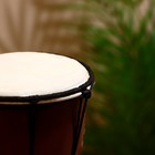 Сувенирный музыкальный инструмент «Барабан Джембе», 20×11×11 см, МИКС - Фото 3