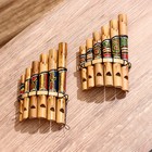 Сувенирный музыкальный инструмент «Флейта Пана», 2×15×9 см, МИКС - Фото 6
