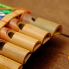 Сувенирный музыкальный инструмент «Флейта Пана», 2×15×9 см, МИКС - Фото 9