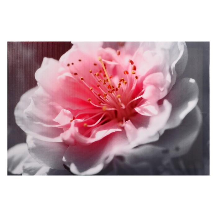Картина на холсте "Нежный цветок" 40*60 см