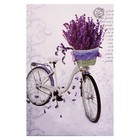 Картина на холсте "Велосипед" 40*60 см - фото 321237689