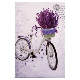 Картина на холсте "Велосипед" 40*60 см