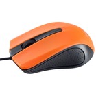 Мышь Perfeo RAINBOW, проводная, оптическая, 1000 dpi, USB, оранжевая - фото 9490710