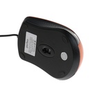 Мышь Perfeo RAINBOW, проводная, оптическая, 1000 dpi, USB, оранжевая - фото 9490713