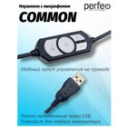 Наушники Perfeo COMMON, компьютерные, микрофон, 108 дБ, USB, 1.8 м, черные - фото 9742065