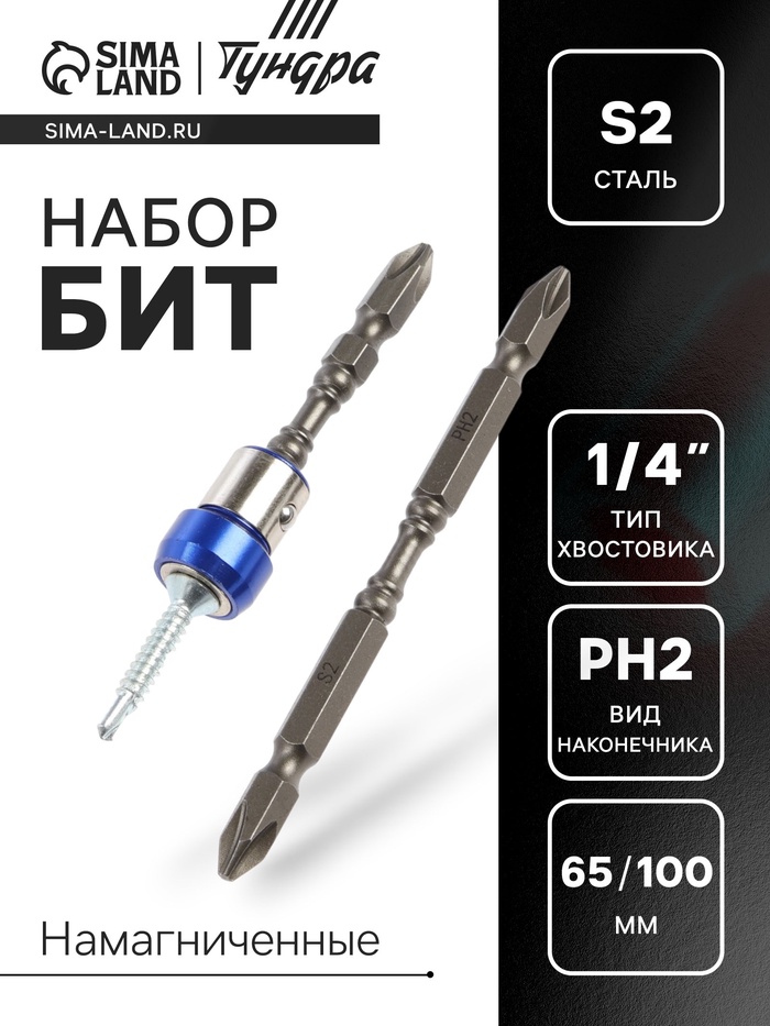 Набор бит ТУНДРА, сталь S2, круглый магнит, двухсторонняя, PH2×65 и 100 мм, 2 шт. - Фото 1