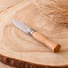Нож складной "Мангуст" 16см, клинок 70мм/1,5мм, рукоять дерево - Фото 1
