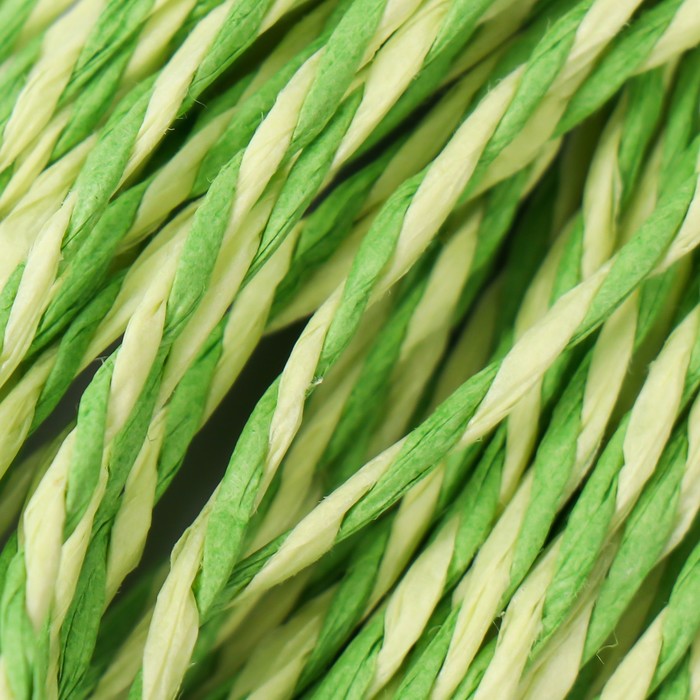 Пряжа 100% целлюлоза "Softino Raffia Color Melange" кручёная, зелёная трава 10м ±2м