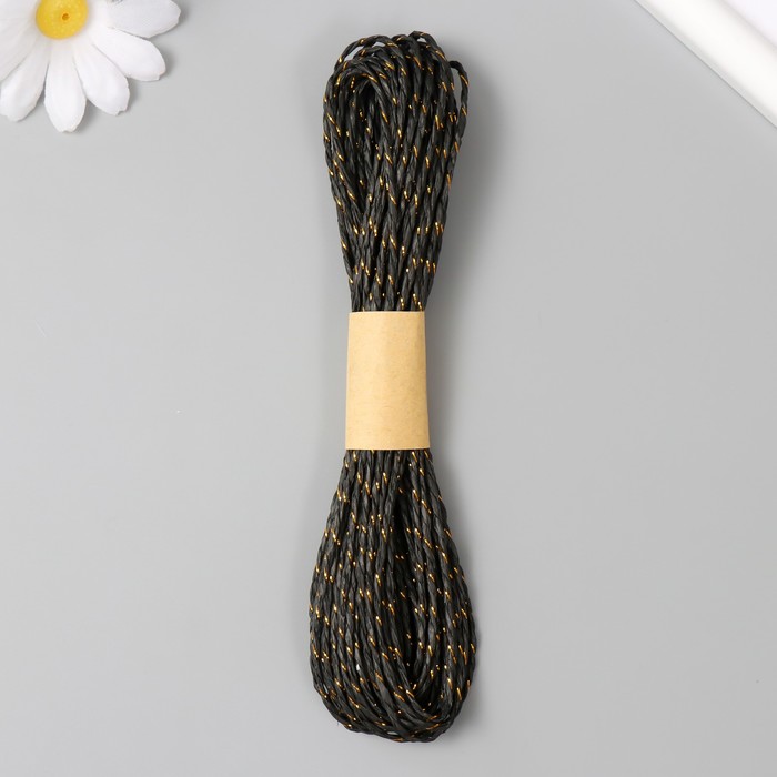 Пряжа для вязания спицами, крючком 100% целлюлоза Softino Raffia Color Melange, кручёная, чёрная с золотом, 10 м - Фото 1