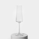 Набор стеклянных бокалов для шампанского «Экстра», 210 мл, 6 шт - Фото 2