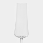 Набор стеклянных бокалов для шампанского «Экстра», 210 мл, 6 шт - Фото 4