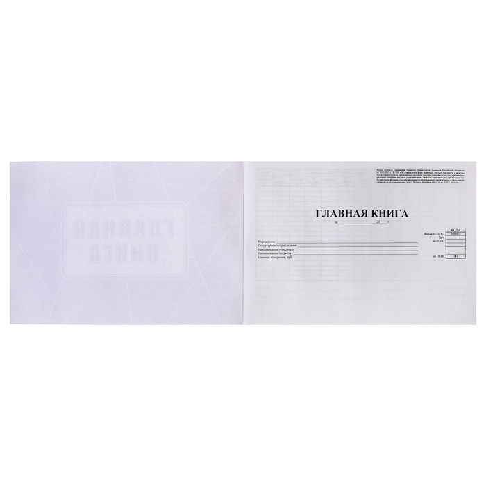 Главная книга А4, 40 листов на скрепке, обложка офсетная бумага 160 г/м2, блок офсет