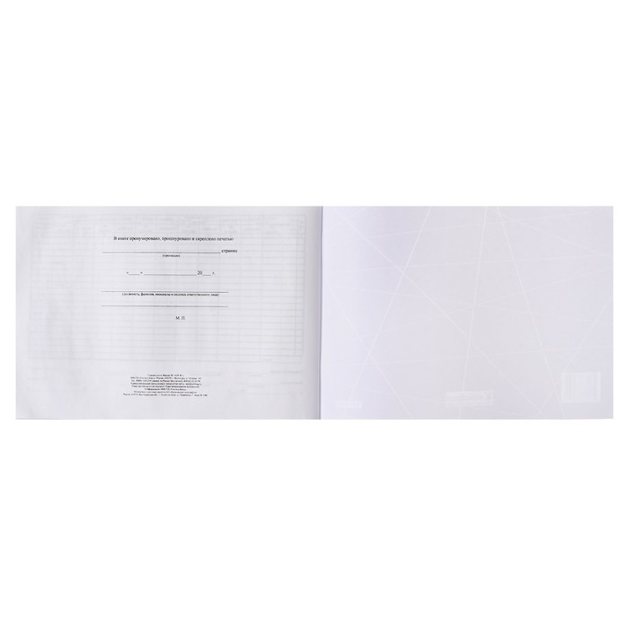 Главная книга А4, 40 листов на скрепке, обложка офсетная бумага 160 г/м2, блок офсет