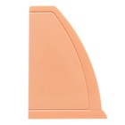 Лоток для бумаг вертикальный, 6 отделений, ErichKrause "Regatta Pastel Bloom", персиковый - фото 23905318