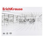 Альбом для черчения А4, 20 листов, блок 200 г/м², на клею, ErichKrause, без рамки - фото 20526418