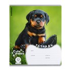 Тетрадь 12 листов в клетку ErichKrause "Щенки", обложка мелованный картон, блок офсет, микс (комплект 10 шт) - фото 23924097