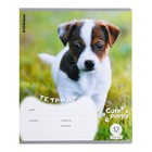 Тетрадь 12 листов в клетку ErichKrause "Щенки", обложка мелованный картон, блок офсет, микс (комплект 10 шт) - фото 23924098