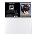 Тетрадь 48 листов в клетку, ErichKrause "Красная книга России. Птицы", обложка мелованный картон, глянцевая ламинация, блок офсет 100% белизна, МИКС (комплект 5 шт) - фото 28152337