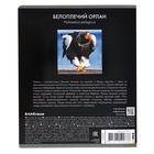 Тетрадь 48 листов в клетку, ErichKrause "Красная книга России. Птицы", обложка мелованный картон, глянцевая ламинация, блок офсет 100% белизна, МИКС (комплект 5 шт) - фото 28152338