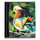 Тетрадь 48 листов в клетку, ErichKrause "Красная книга России. Птицы", обложка мелованный картон, глянцевая ламинация, блок офсет 100% белизна, МИКС (комплект 5 шт) - фото 25432687