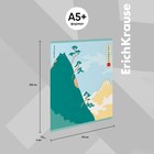 Тетрадь 48 листов в клетку ErichKrause "Найди кота", матовая ламинация, обложка мелованный картон, блок офсет, микс (комплект 5 шт) - фото 26145222